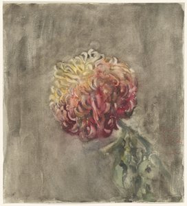 赤菊 作： Carel Adolph Lion Cachet