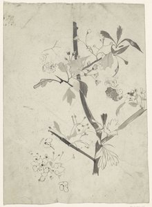 花の枝 作： Carel Adolph Lion Cachet