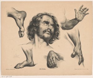 男の頭、足、手、腕 Pictura (オブジェクトのシリーズ タイトル) 作： Carel Christiaan Antony Last