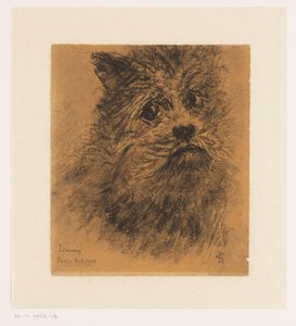 犬のジミーの肖像研究 作： Carel Nicolaas Storm van 
