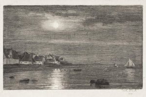 ヘレベックのビーチセクション。 月光 作： Carl Bloch