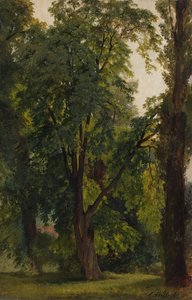 ケーニヒスヴスターハウゼンの木材（板紙に敷いたキャンバスに油彩） 作： Carl Constantin Steffeck