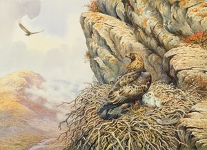 エリーでのゴールデンイーグルス 作： Carl Donner