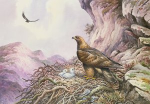 彼らのアイリーでゴールデンイーグルス（WC） 作： Carl Donner