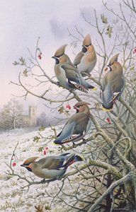 ワックスウィング 作： Carl Donner