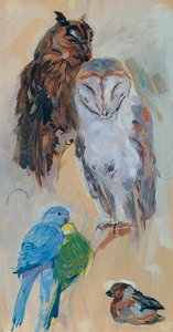 シェーンブルン宮殿の動物調査 作： Carl Fahringer