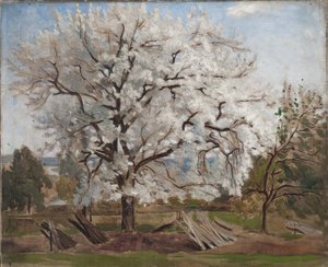 ブロッサムのリンゴの木、1877 作： Carl Fredrik Hill