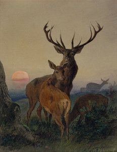 日没時の樹木が茂った風景の中で鹿と雄鹿 作： Carl Friedrich Deiker