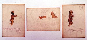 砂漠の幸せ」のための赤ちゃんの習作 作： Carl Haag