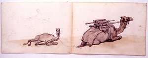 ドロメダリーの2枚のスケッチ 作： Carl Haag
