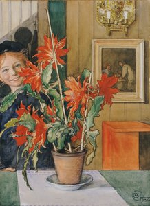 ブリトーのサボテン、1904 作： Carl Larsson