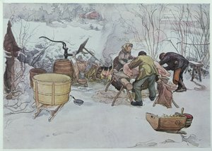「豚を殺す」、「マイリトルファーム」のイラスト、1904年にスウェーデンで出版 作： Carl Larsson