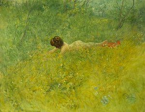 草の上; I Grongraset、1902 作： Carl Larsson