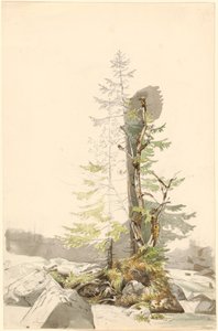 ラムサウの岩が多い小川のそばの木の塊 作： Carl Morgenstern