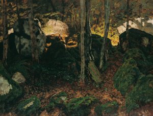 Saut du Doubs 近くの Waldinneres