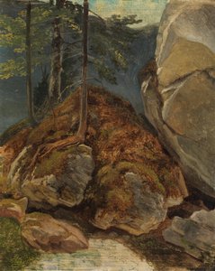 苔で覆われた岩を使った石油研究 作： Carl Spitzweg