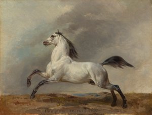左の灰色の種牡馬 作： Carl Steffeck
