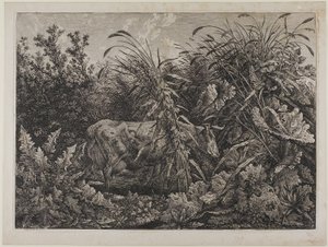 小川の中の牛 作： カール・ヴィルヘルム・コルベ長老