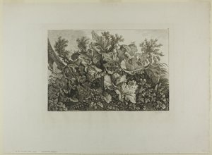 沼地の植物 作： Carl Wilhelm Kolbe, the elder