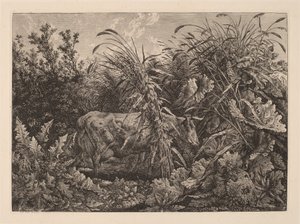 沼地の牛 作： Carl Wilhelm Kolbe, the elder