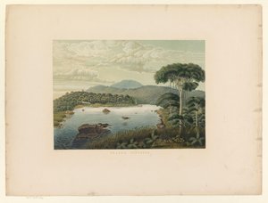 パテンガン湖の眺め Telaga Patengan (オブジェクトのタイトル) Atlas to work Java (オブジェクトに関するシリーズ タイトル) Java という作品に属する 11 の絵のように美しい景色を含むプレートのアトラス、その外観、植生、および内部構造 (シリーズ) 作： Carl Wilhelm Mieling (possibly)