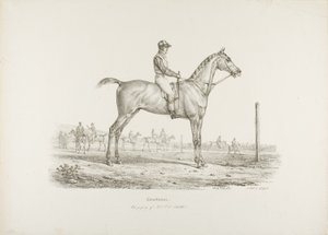 コンスタンス、J.G. 氏の所有物 シックラー 作： Carle Vernet
