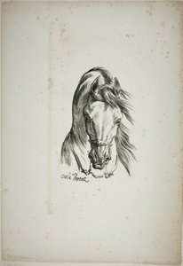 ノルマン王室の衛兵、No.1、馬の頭部のディテール（3倍に拡大 作： Carle Vernet