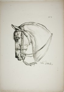 ノルマン王室の衛兵、No.2、馬の頭部のディテール（3倍に拡大 作： カール・ヴェルネ