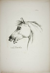 ノルマン王室の衛兵、No.4、馬の頭部のディテール（3倍サイズに拡大 作： Carle Vernet