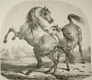 野生の馬の戦い 作： Carle Vernet