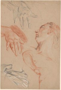  作： Carle van Loo