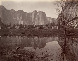 カテドラル ロックス、ヨセミテ、カリフォルニア州。 1872年、約印刷。 1876年。 作： Carleton E. Watkins.