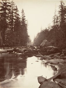 Merced River, Yosemite, ca. 1872, printed ca. 1876. 作： Carleton E. Watkins.