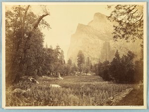 ドライブ、ブライダルベール、ヨセミテ 作： Carleton E. Watkins