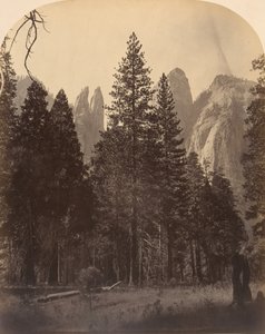 大聖堂の塔、1861 年。 作： Carleton Emmons Watkins