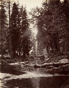 ハッチングス ホテル、ヨセミテ、カリフォルニア州。 1872年、約印刷。 1876年。 作： Carleton Emmons Watkins