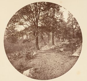 ヨセミテ渓谷では、カリフォルニア州。 1878年。 作： Carleton Emmons Watkins