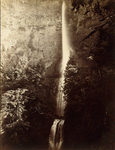 マルトノマ フォールズ カスケード、コロンビア川、1867 年。 作： Carleton Emmons Watkins