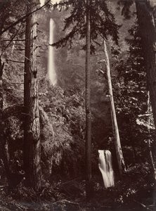 1867 年、オレゴン州マルトノマ滝、後に印刷。 作： Carleton Emmons Watkins