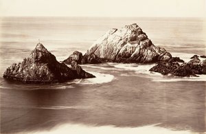 アザラシの岩、1868-69 年、印刷 1876年。 作： Carleton Emmons Watkins