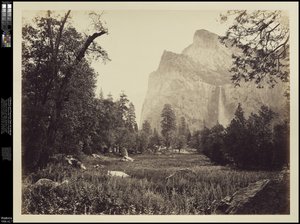 ブライダルベール、900フィート、ヨセミテ、1865年頃 作： Carleton E. Watkins