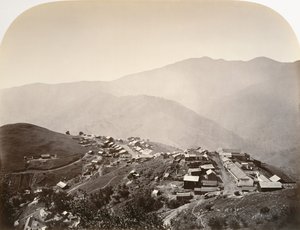 丘の上の町、ニュー アルマデン、1863 年。 作： Carleton Emmons Watkins