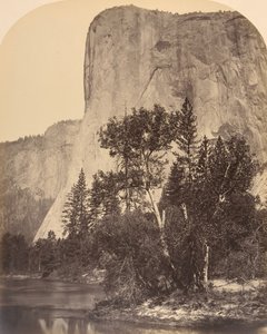 ツツカヌラ、エル キャピタン、1861 年。 作： Carleton Emmons Watkins