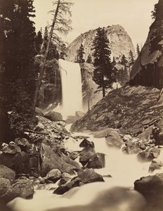 春の秋、ヨセミテ、1865 ～ 66 年、19 年頃に印刷 1875年。 作： Carleton Emmons Watkins
