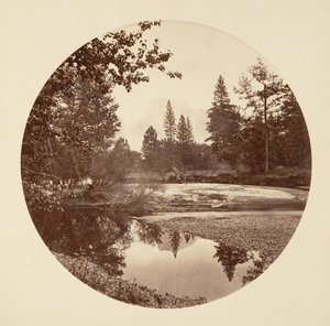 [カリフォルニア州ヨセミテ国立公園]、カリフォルニア州。 1878年。 作： Carleton Emmons Watkins