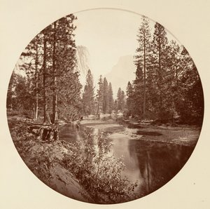 [カリフォルニア州ヨセミテ国立公園]、カリフォルニア州。 1878年。 作： Carleton Emmons Watkins
