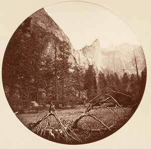 [カリフォルニア州ヨセミテ国立公園]、カリフォルニア州。 1878年。 作： Carleton Emmons Watkins