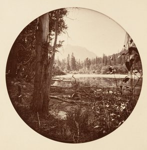 [カリフォルニア州ヨセミテ国立公園]、カリフォルニア州。 1878年。 作： Carleton Emmons Watkins