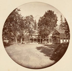 [カリフォルニア州ヨセミテ国立公園]、カリフォルニア州。 1878年。 作： Carleton Emmons Watkins