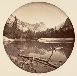 [カリフォルニア州ヨセミテ国立公園]、カリフォルニア州。 1878年。 作： Carleton Emmons Watkins
